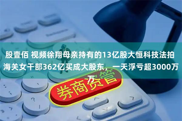 股壹佰 视频徐翔母亲持有的13亿股大恒科技法拍 海关女干部362亿买成大股东，一天浮亏超3000万
