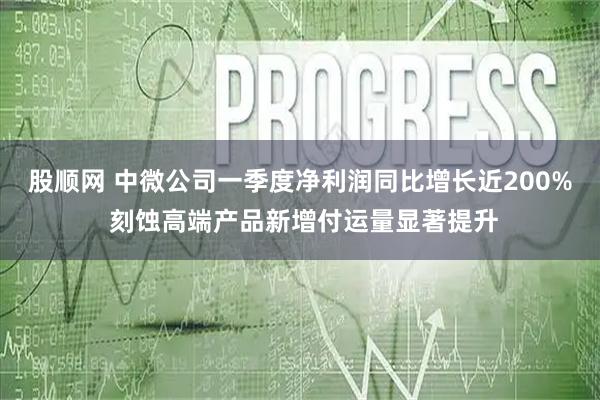 股顺网 中微公司一季度净利润同比增长近200% 刻蚀高端产品新增付运量显著提升