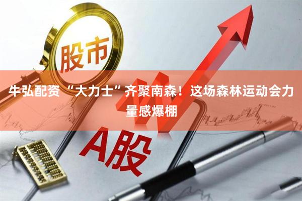 牛弘配资 “大力士”齐聚南森！这场森林运动会力量感爆棚